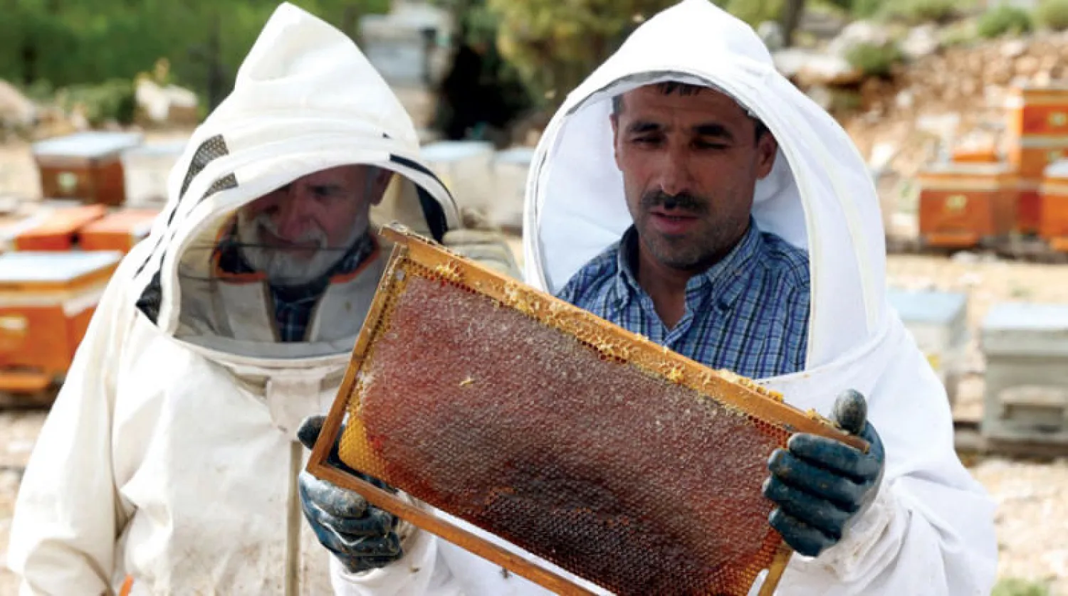 النحّال فهمي ووالده مصطفى (أ.ف.ب)