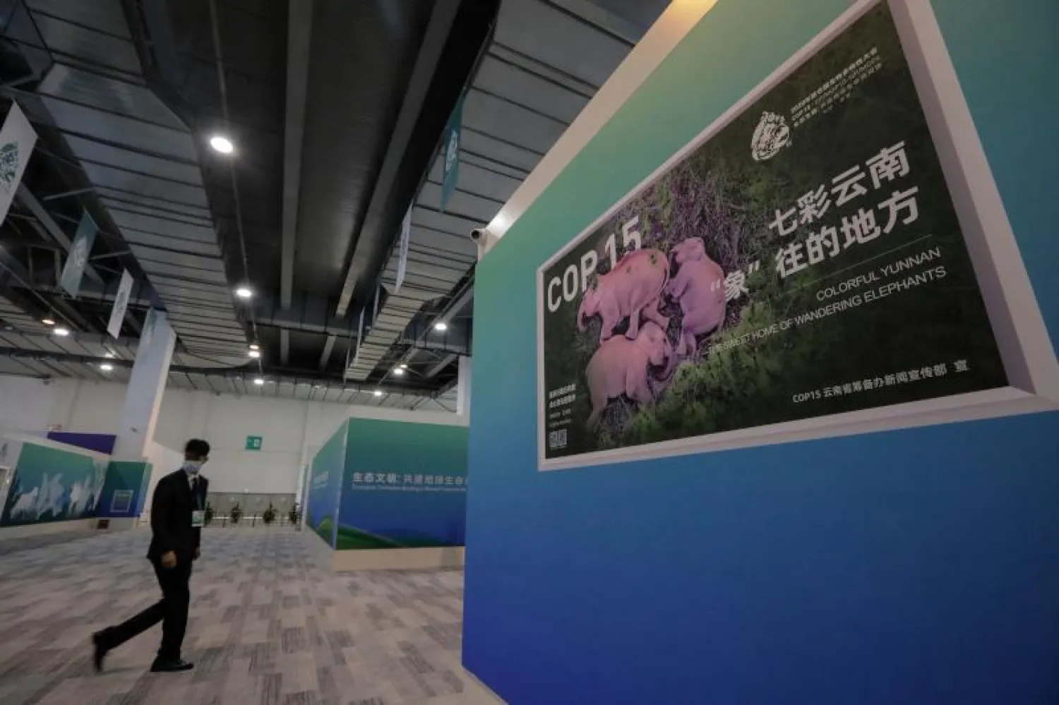 رجل في المركز الإعلامي لمؤتمر الأمم المتحدة للتنوع البيولوجي جنوب غربي الصين (أ.ف.ب)