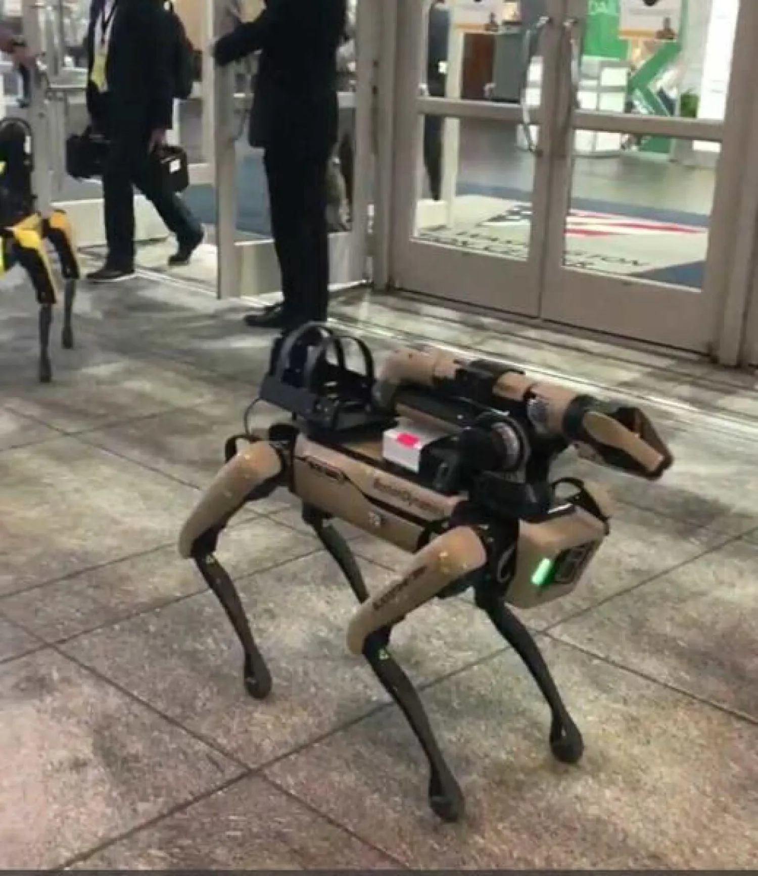 الروبوت على هيئة كلب (إندبندنت)