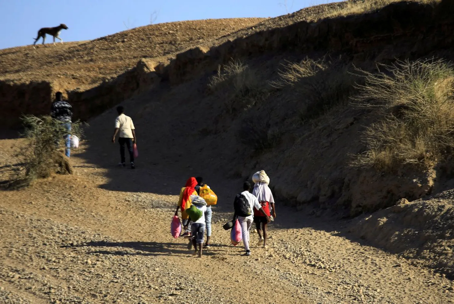 Ethiopians, who fled the ongoing fighting in Tigray region, carry their belongings after crossing the Setit River on the Sudan-Ethiopia border, in the eastern Kassala state, Sudan. Reuters file photo