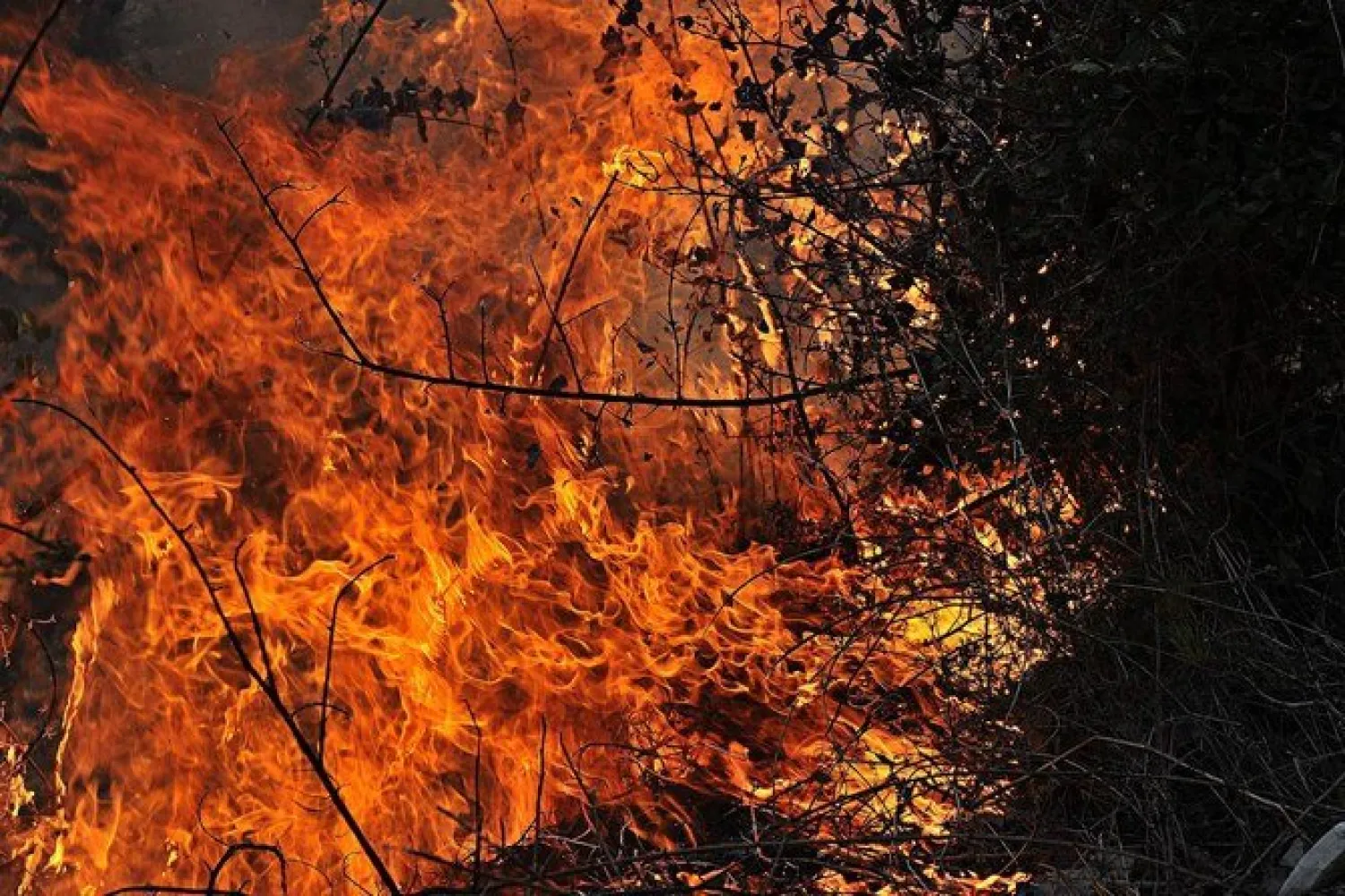 A handout picture released by the official Syrian Arab News Agency (SANA) on October 10, 2020 shows a fire devouring a forest in the mountainous region of Bludan near the capital Damascus. (AFP)