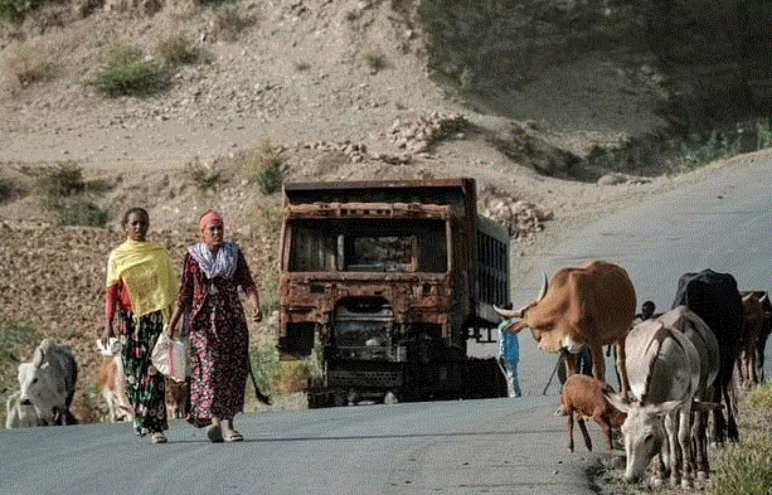 Tigray erupted in conflict last November after Prime Minister Abiy Ahmed sent troops to topple the region's former ruling party, the TPLF - AFP