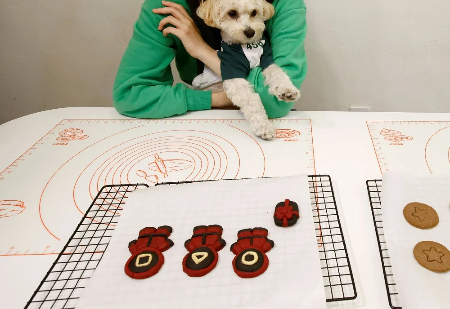 The wheat-free dog treats come in the shapes of sugar candies popularized by the series, as well as the guards in pink jumpsuits and black masks who appear in the nine-part thriller