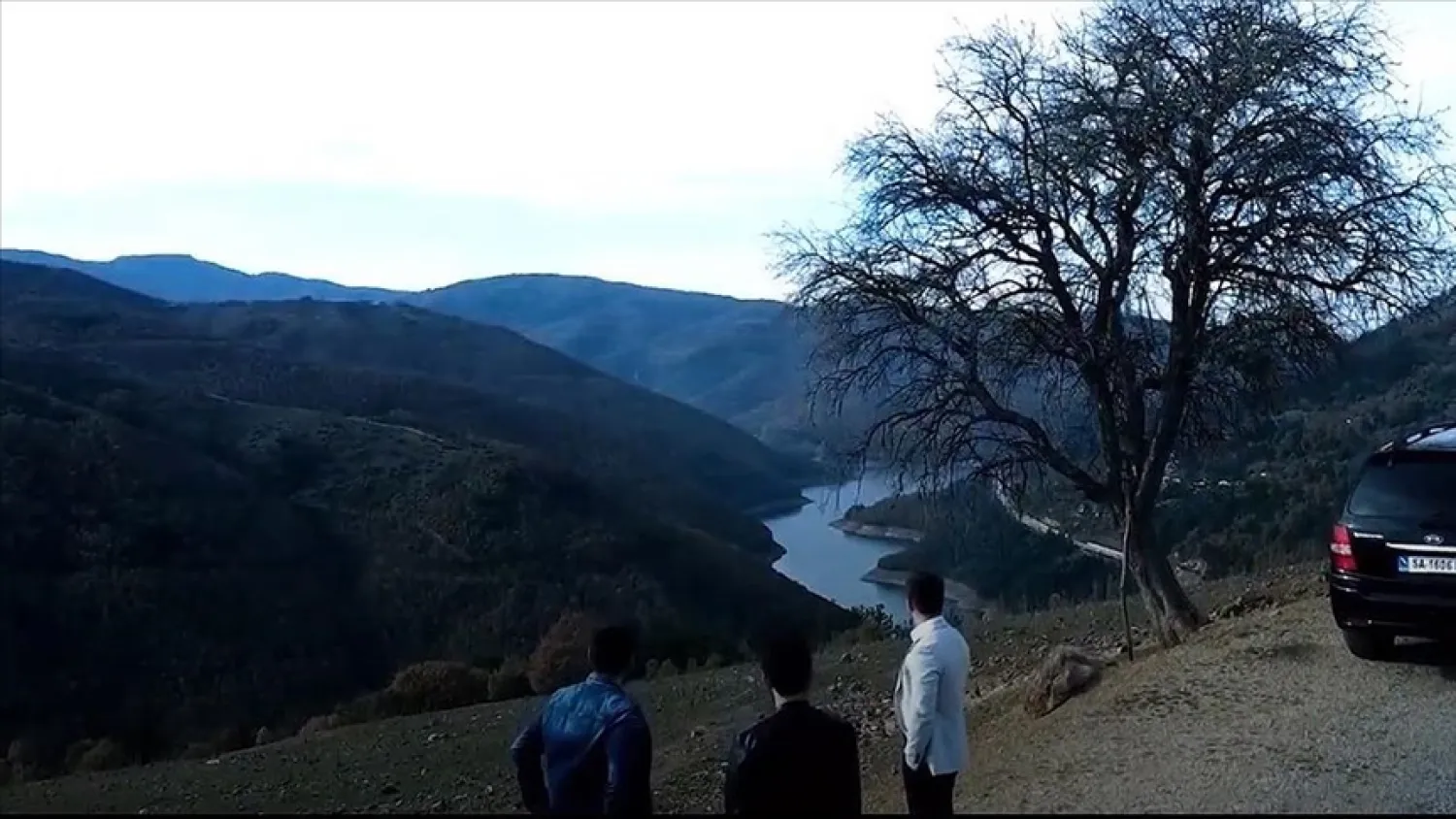 AA