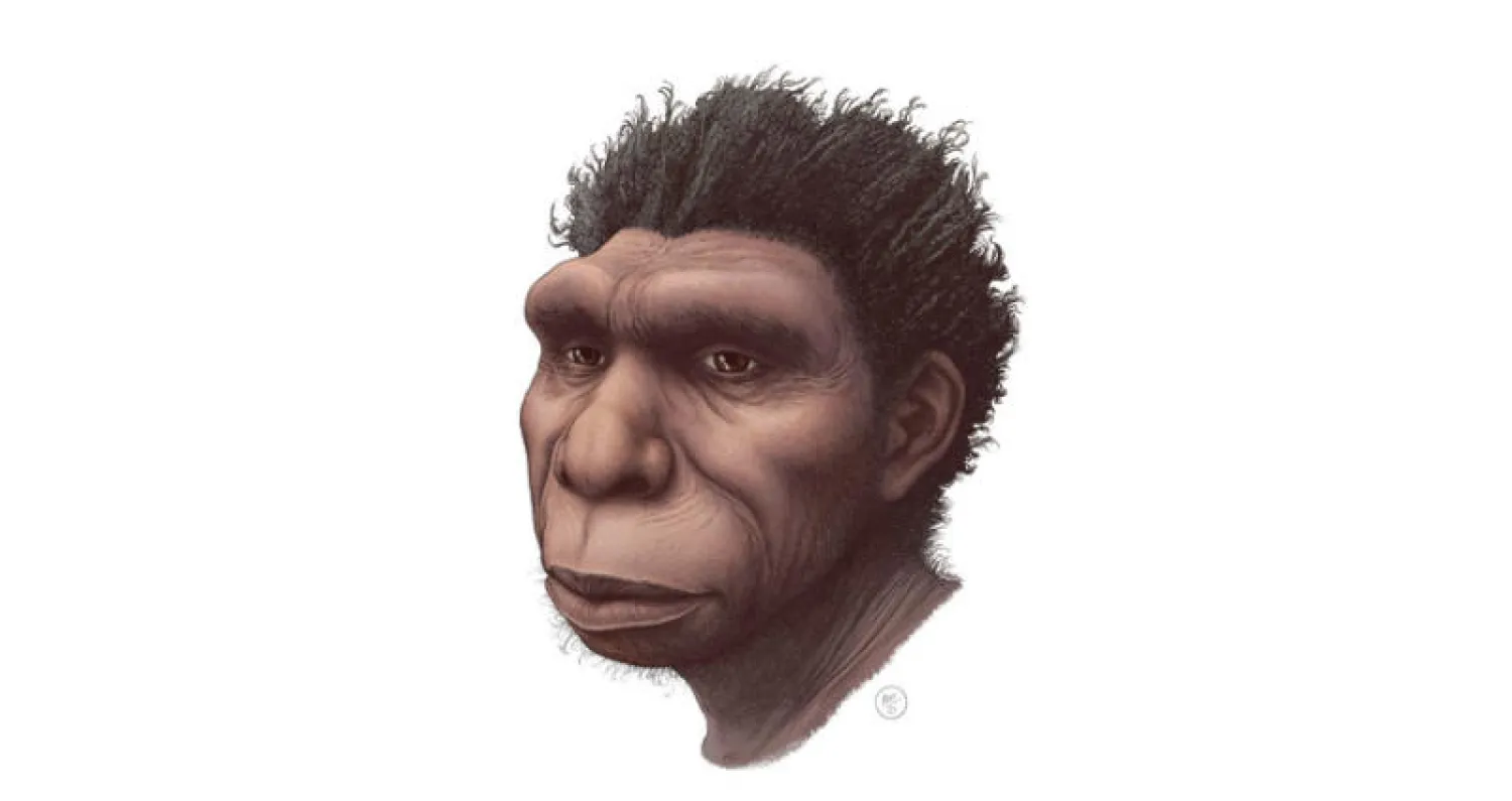 إنسان «بودينسيس» (جامعة وينيبيغ)