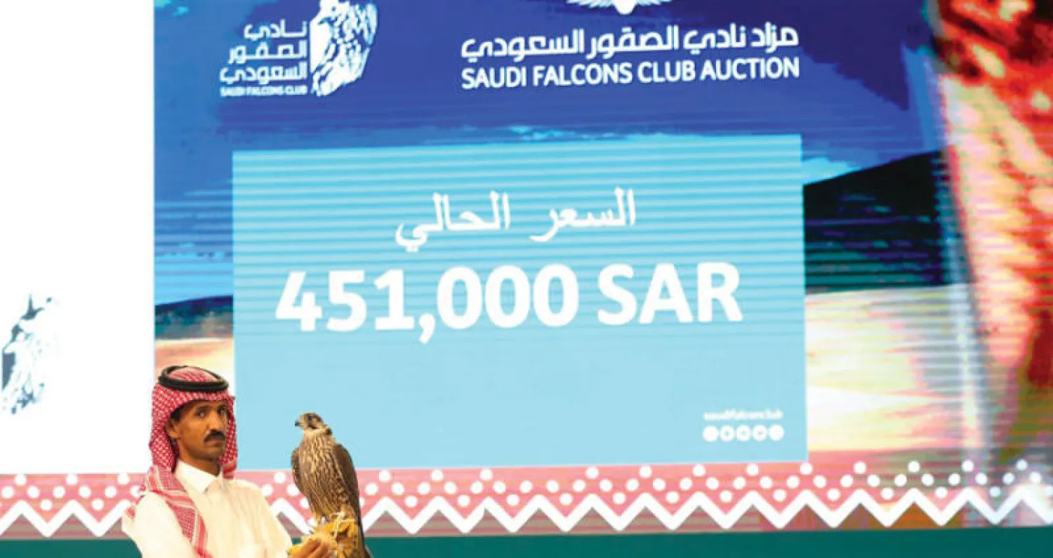 أحد الصقور معروض للمزاد ووصلت قيمته إلى 451 ألف ريال