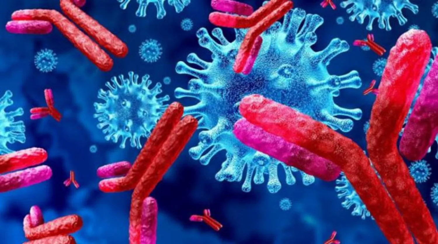 الأجسام المضادة لـ«كورونا» تظل 10 أشهر في الجسم بعد الإصابة