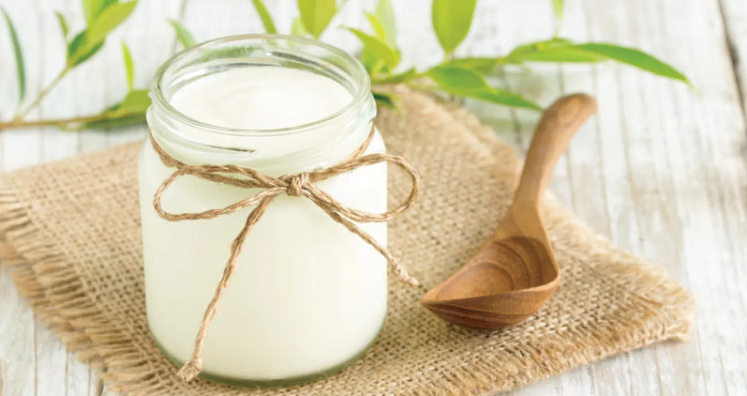 ما هي مواد «بوستبايوتك»؟