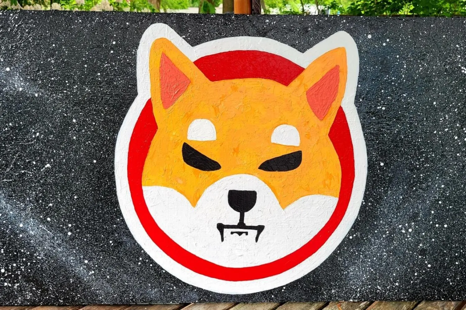 Shiba Inu, 2021'de şaşkınlık yaratan kur kazançlarıyla piyasa değeri bakımından ilk 10'daki kripto paralardan biri haline gelmişti (Shibatoken.com)