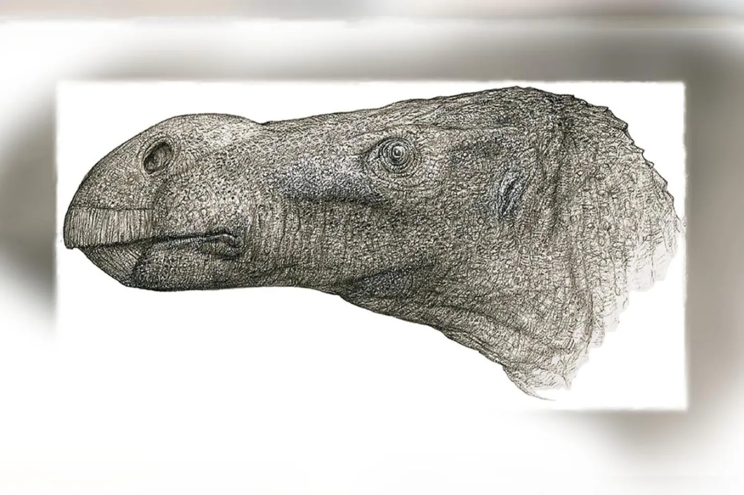 Jeremy Lockwood, dinozor tespitinin kendisini çok mutlu ettiğini söyledi (Portsmouth Üniversitesi)