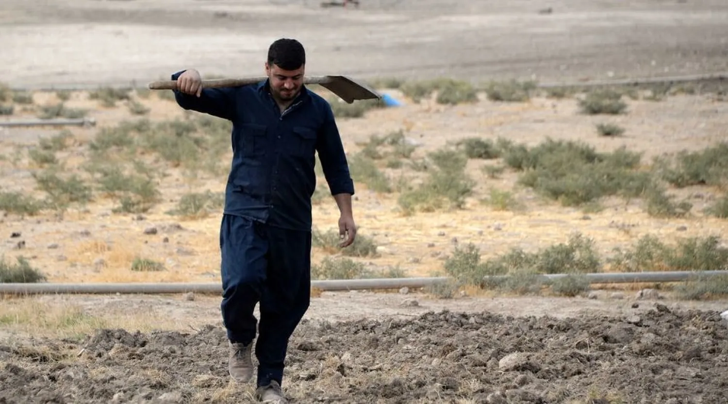 Iraqi farmers in the northern Plains of Nineveh, once the breadbasket of Iraq, are abandoning their land pushed out by record low rainfall, drought and climate change Zaid AL-OBEIDI AFP
