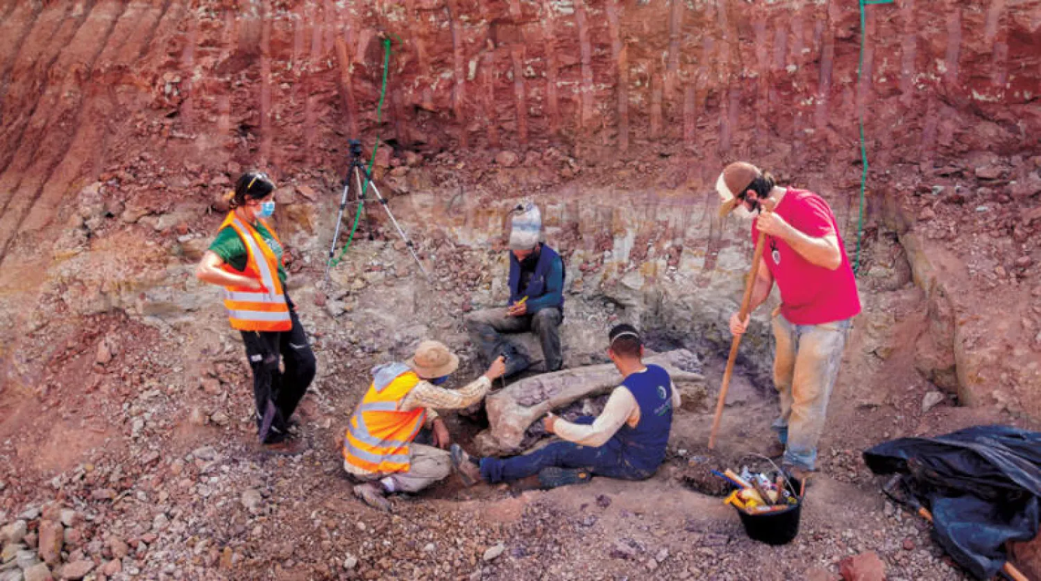 اكتشاف نوع جديد «نادر جداً» من الديناصورات (رويترز)