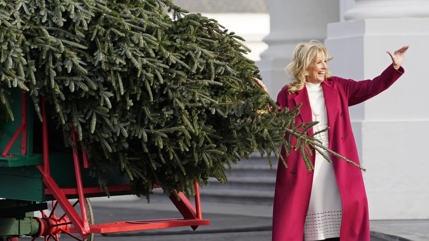 First lady Jill Biden waves to people watching as she looks over the official White House Christmas Tree, grown in North Carolina, as it arrives at the White House in Washington, Monday, Nov. 22, 2021.(AP)