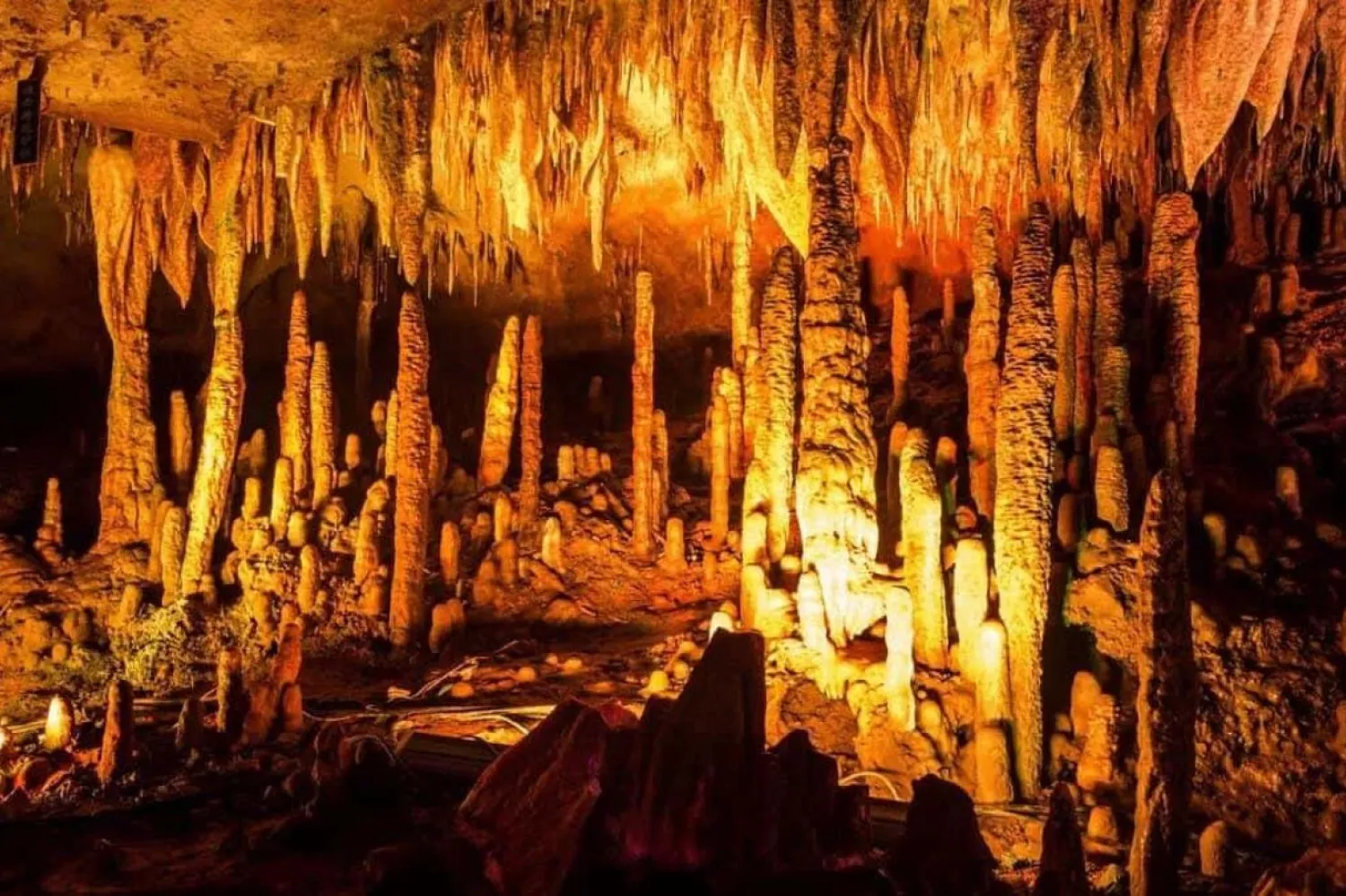 Liangzhu kültürünün çöküşünün ardındaki gerçekleri antik kentin yakınlarındaki mağaralar ortaya çıkardı (Haiwei Zhang)

