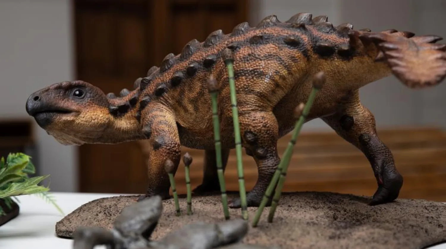 Yakın zamanda keşfedilen ‘Stegouros’ dinozorunun bir maketi (Reuters)