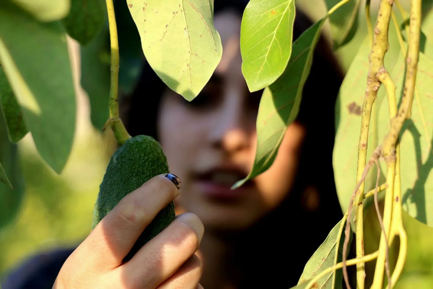 Thurayya, Beyrut'ta sık sık yaşanan elektrik kesintilerinin şehir hayatını hayli zorlaştırdığını belirtti (AFP)