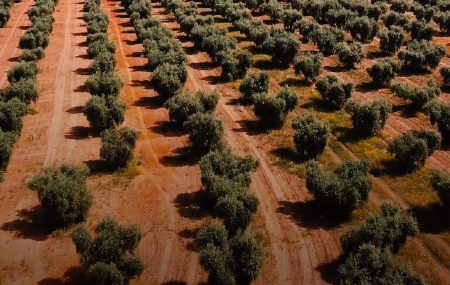 Ekran görüntüsü (Youtube)