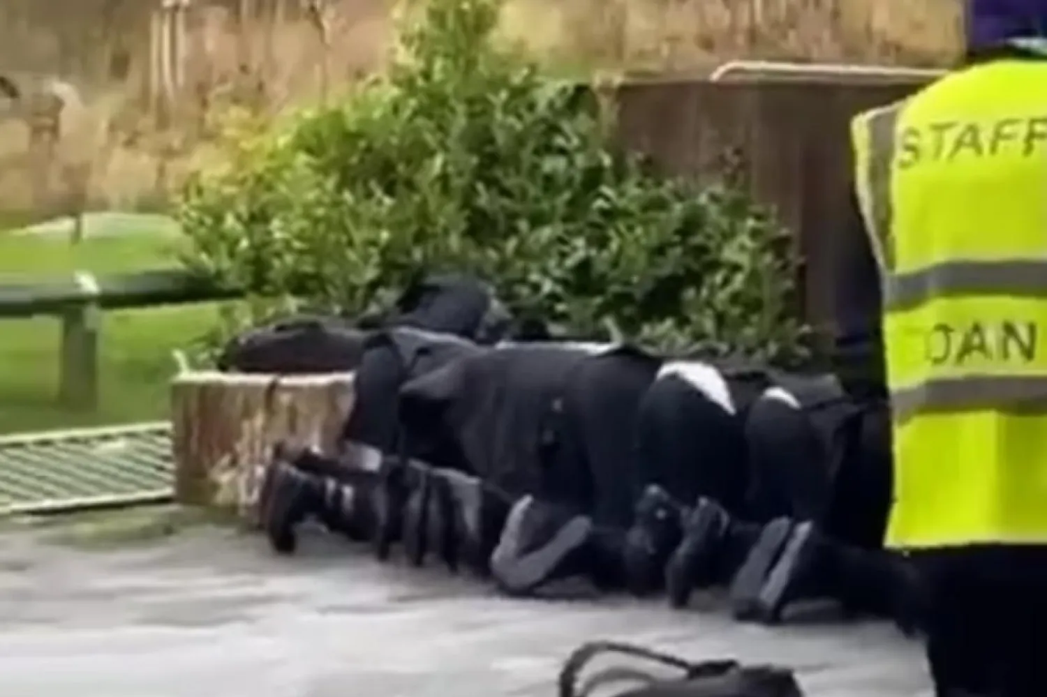 Olayın ardından Oldham yönetimi de okulla temasa geçti (Twitter/@5Pillarsuk)