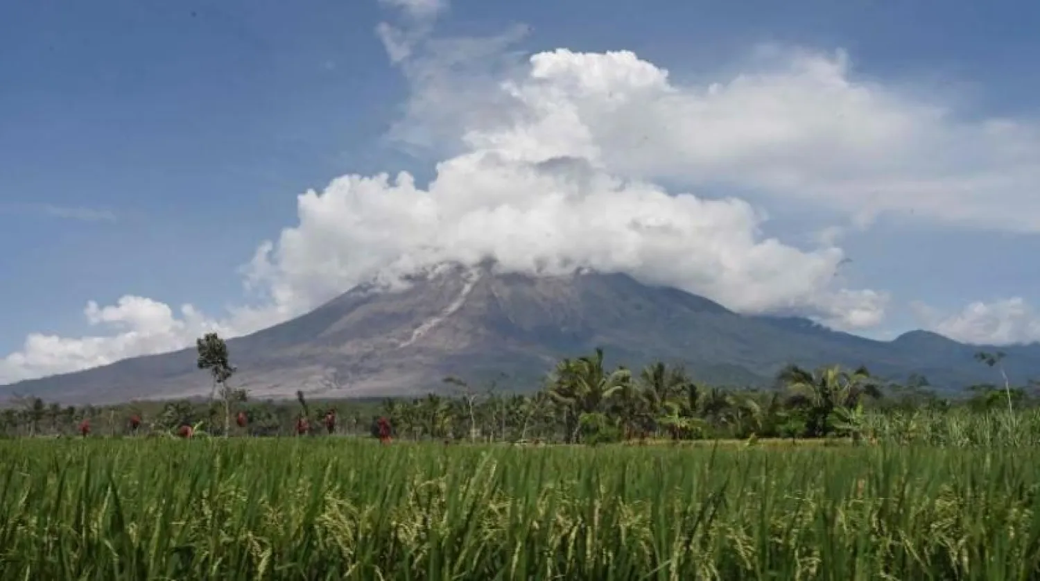 Korah Kubokan köyündeki Semeru Dağı (AFP)
