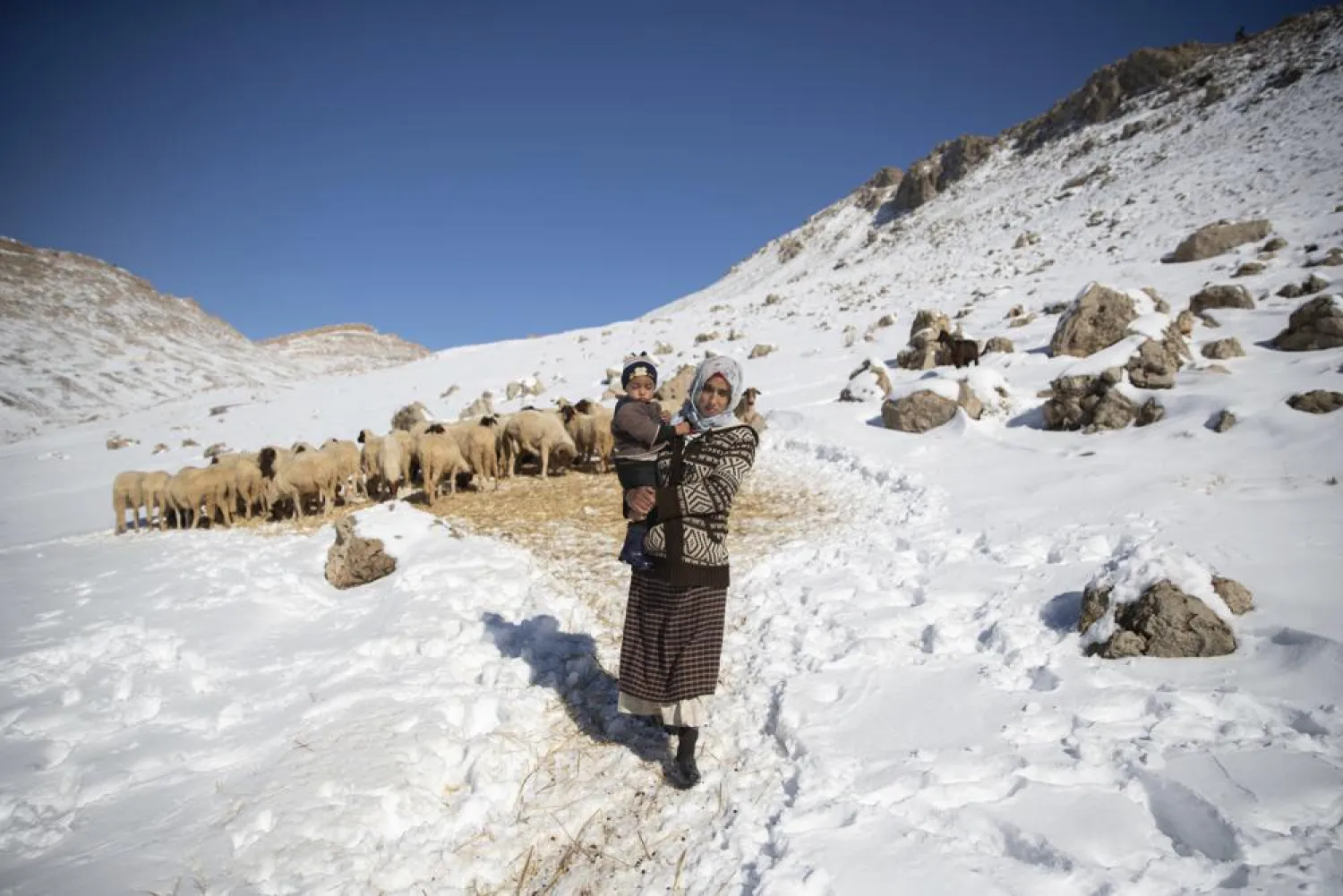 A woman carries her son after feeding her family's sheep in the Amazigh Timahdite village in the Middle Atlas, near Azrou, Morocco, Saturday, Dec. 4, 2021. For the people of the remote Moroccan village of Timahdite, nestled in North Africa's highest mountain range, heavy snowfall brings weeks, or months, of isolation. (AP Photo/Mosa'ab Elshamy)
