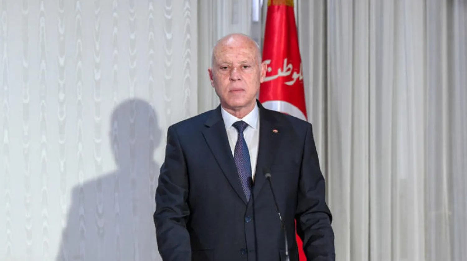 الرئيس قيس سعيد (أ.ب)