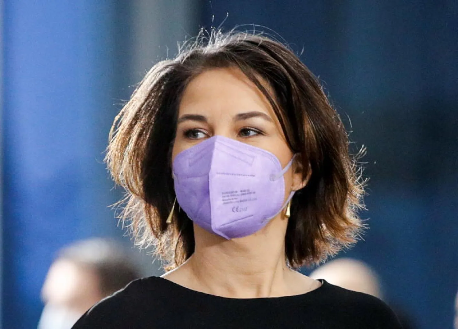 وزيرة الخارجية الألمانية أنالينا بيربوك (رويترز)