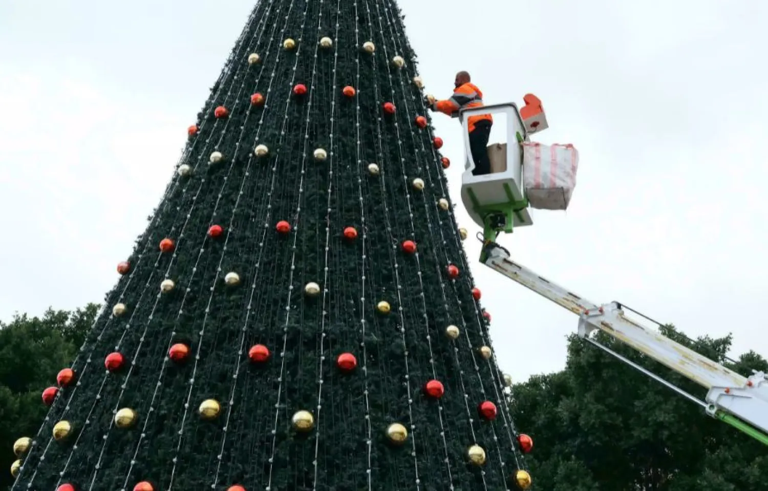 A Palestinian municipality worker decorates the Christmas tree in Bethlehem's Manger Square HAZEM BADER AFP

