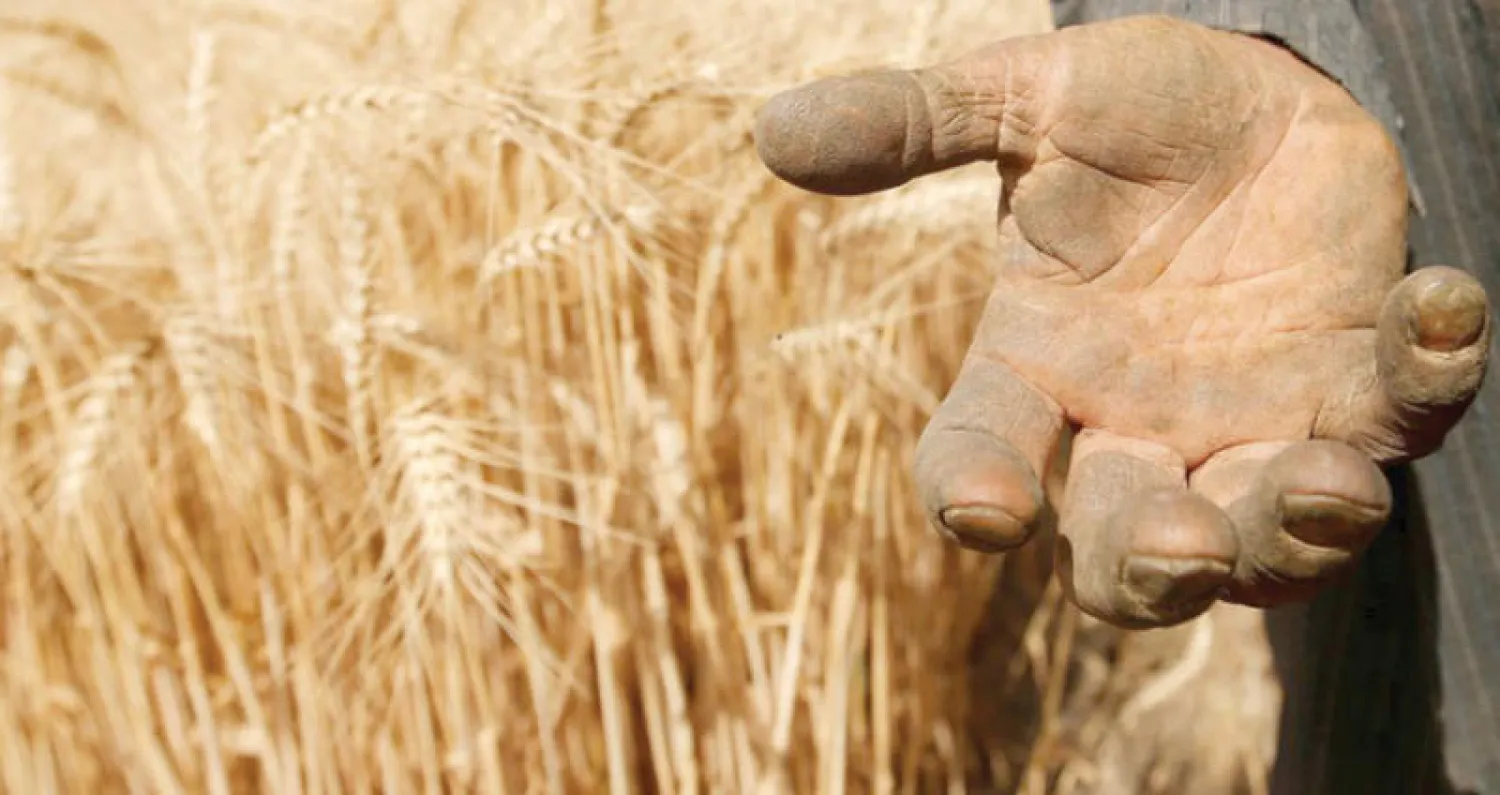 دعت منظمة «الفاو» الدول العربية إلى سرعة تحديد الإجراءات التي يمكن أن توجه نحو أنظمة غذائية زراعية أكثر شمولاً وكفاءة ومرونة (رويترز)