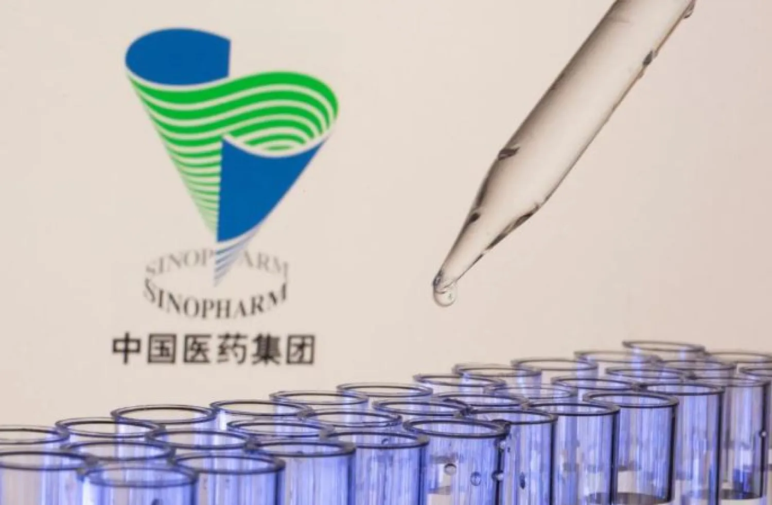 Test tubes are seen in front of a displayed Sinopharm logo in this illustration taken, May 21, 2021. REUTERS/Dado Ruvic/Illustration


