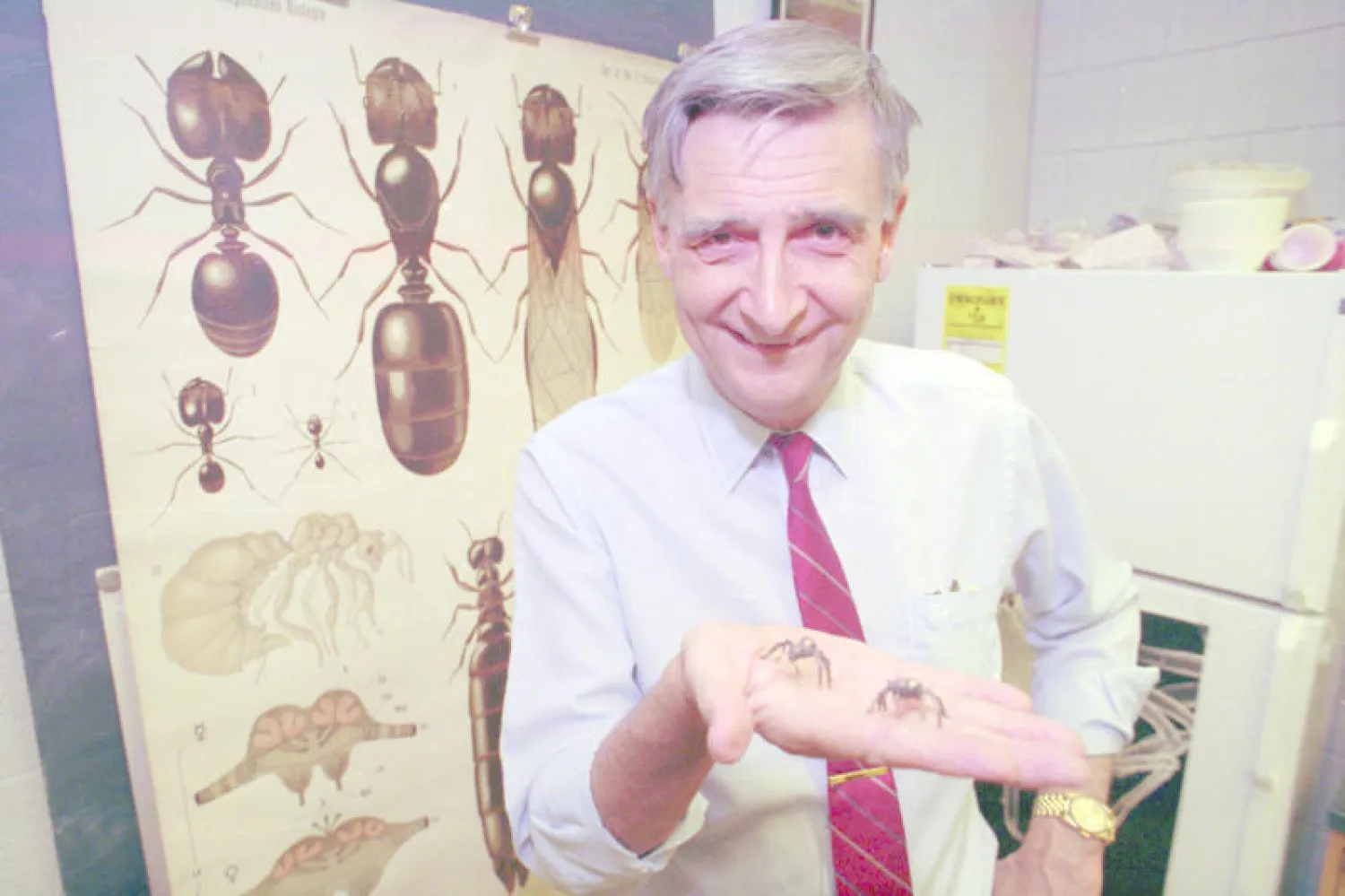 رحيل عالم «النمل» الأميركي إدوارد ويلسون