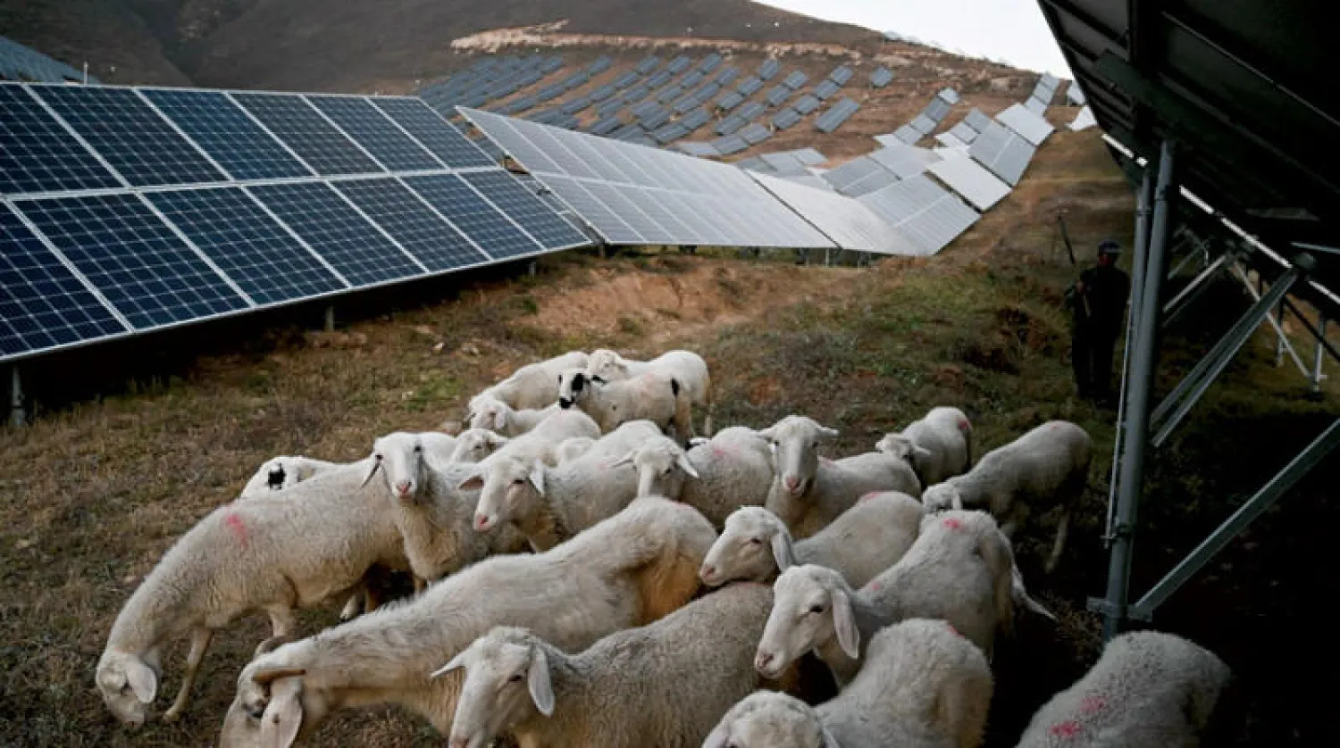 الطاقة الشمسية في 2021... الأسرع نمواً والأدنى تكلفةً لتوليد الكهرباء