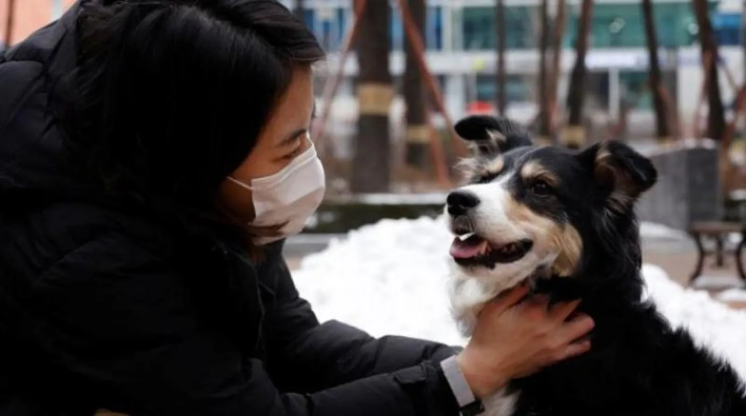 سيدة تداعب كلباً (رويترز)