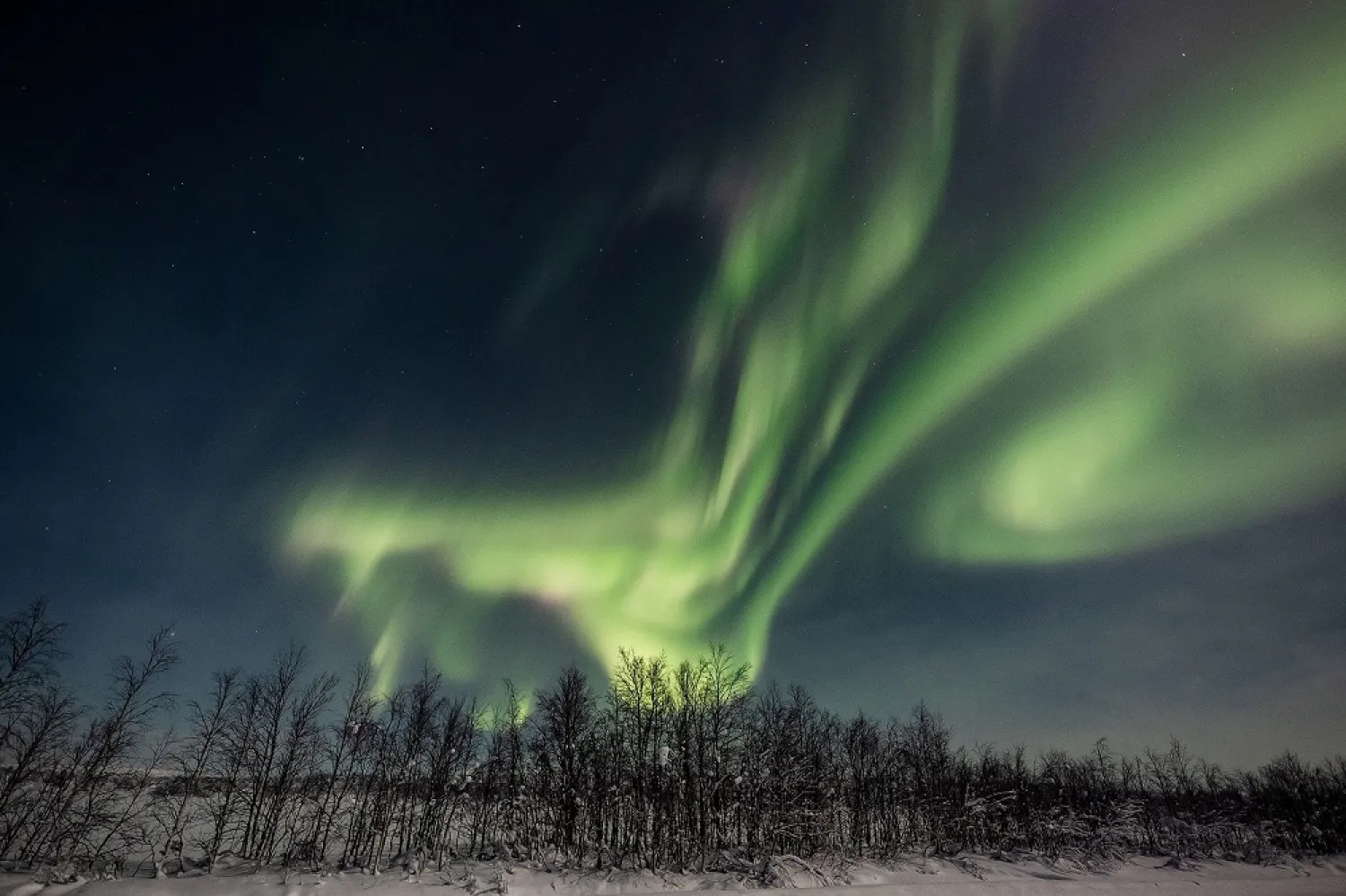 The aurora borealis (northern lights) is seen over the sky in Enontekio in Lapland, Finland, Jan. 25, 2021. (Reuters)