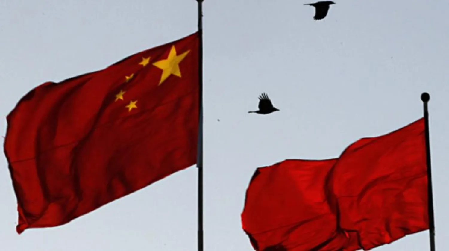 Birds fly past the Chinese national flag on top of the Great Hall of the People where the third plenary session of the Chinese People's Political Consultative Conference is held in Beijing, China. Ng Han Guan/AP.
