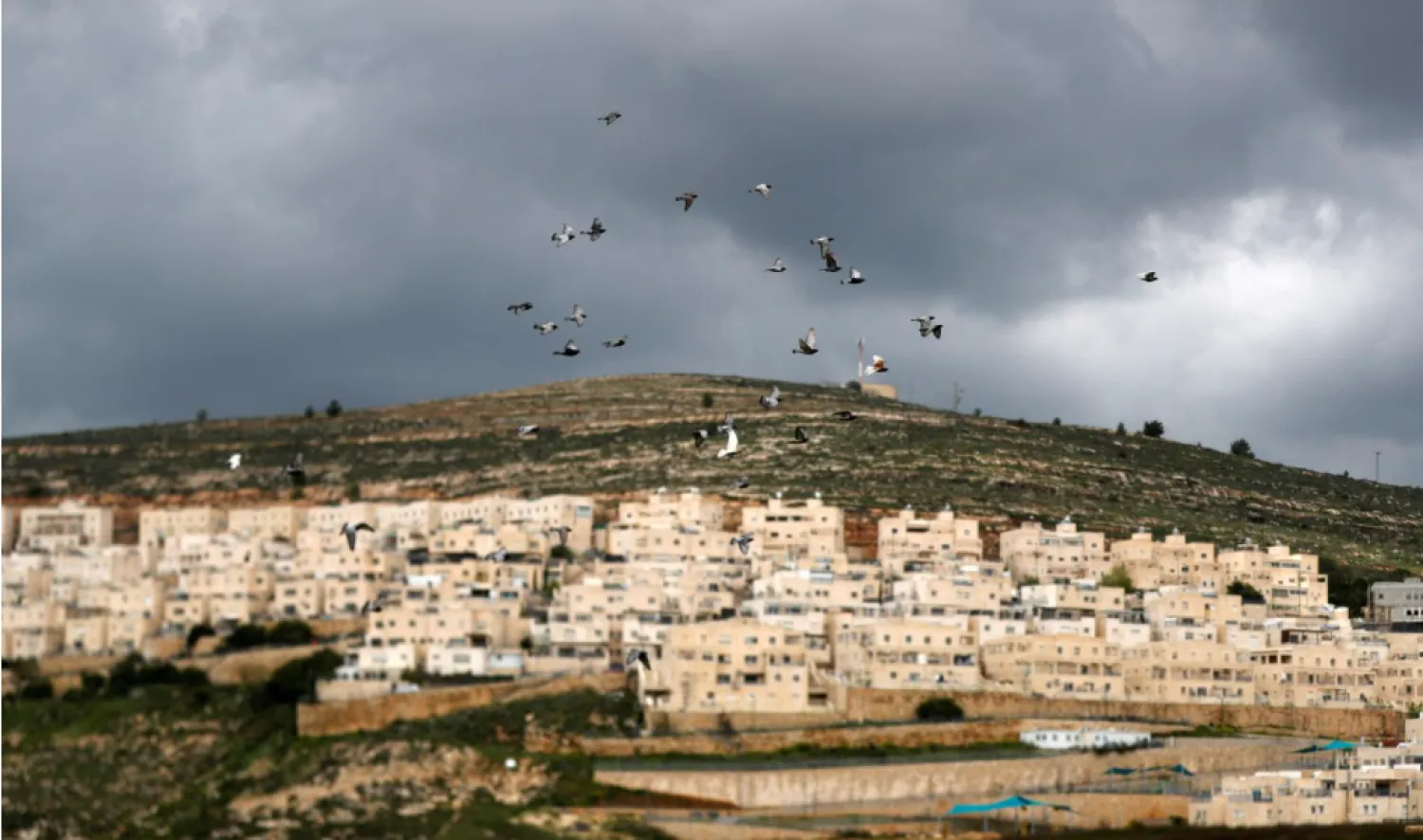 FILE PHOTO: Birds fly as the Israeli settlement of Ramat Givat Zeev is seen, in the Israeli-occupied West Bank March 19, 2020. REUTERS/Ammar Awad