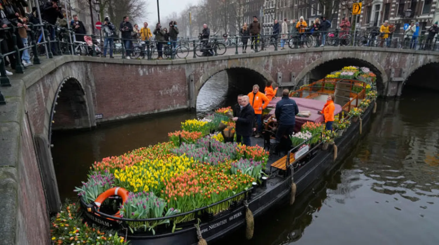 الخزامى مجاناً بعد الإغلاق