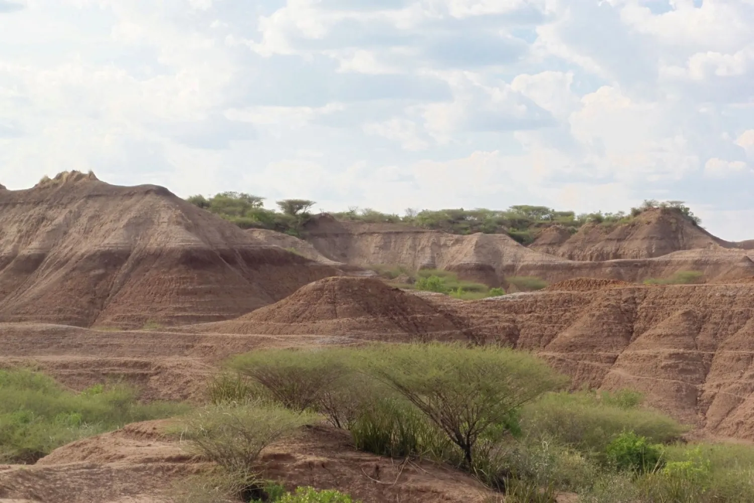 The Omo Kibish geological formation is seen in southwestern Ethiopia, near the location where Homo sapiens fossils were discovered in the late 1960s in this undated handout photograph obtained by Reuters on January 12, 2022. Celine Vidal/Handout via REUTERS