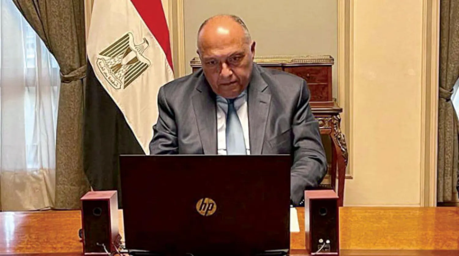 شكري خلال مشاركته في الاجتماع عبر الفيديو كونفرانس (وزارة الخارجية المصرية)