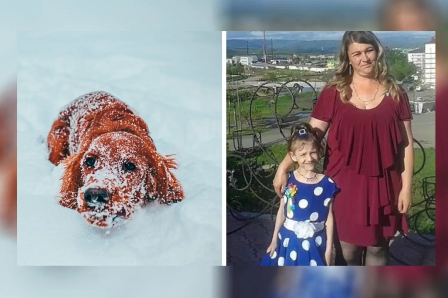 Sokak köpeğine sarılarak soğuktan korunan Vika'yı aramak için yaklaşık 40 kişi seferber oldu (Unsplash / Siberian Times)