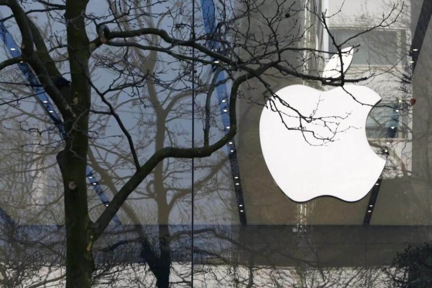 An Apple logo is seen at the entrance of an Apple Store in downtown Brussels, Belgium March 10, 2016. (Reuters)