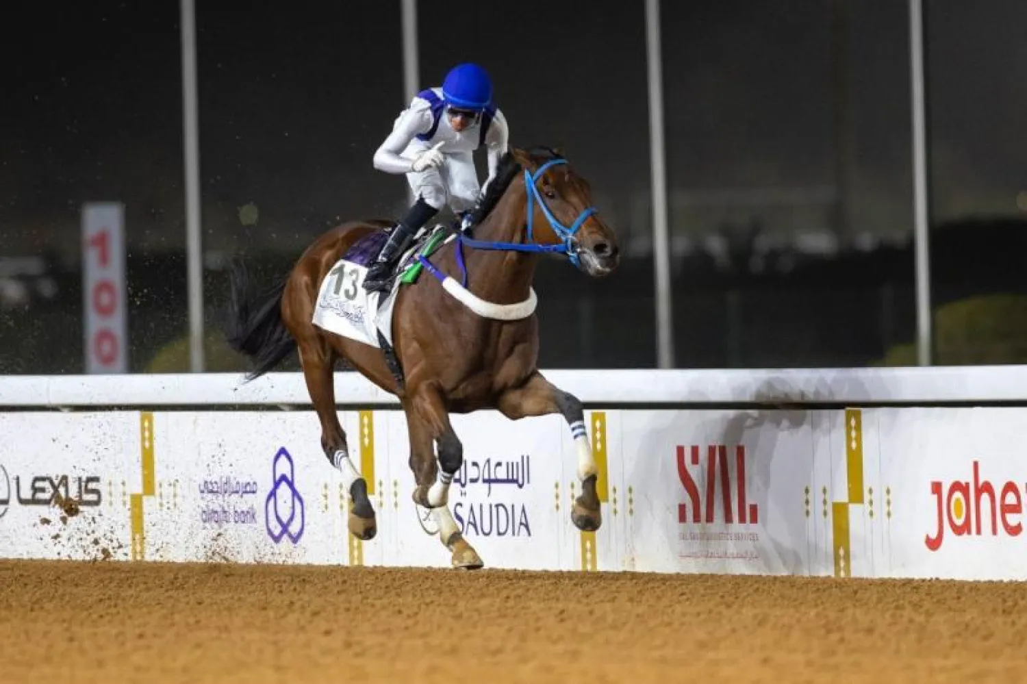 فاز الجواد «ميراكلس» البالغ 7 سنوات بـ5 سباقات في السعودية (الشرق الأوسط)