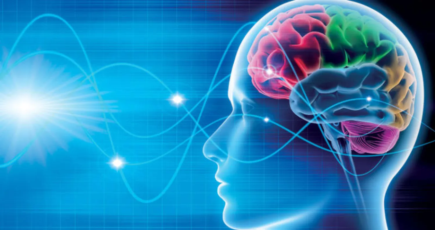 باحثو «كاوست» يطوّرون نموذجاً للتعرّف على حالات الدماغ غير الطبيعية