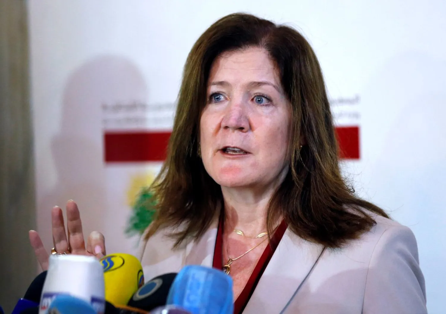 US Ambassador to Lebanon Dorothy Shea speaks during a news conference after meeting with Lebanon's Foreign Minister Nassif Hitti at the Ministry of Foreign Affairs in Beirut, Lebanon June 29, 2020. (Reuters)