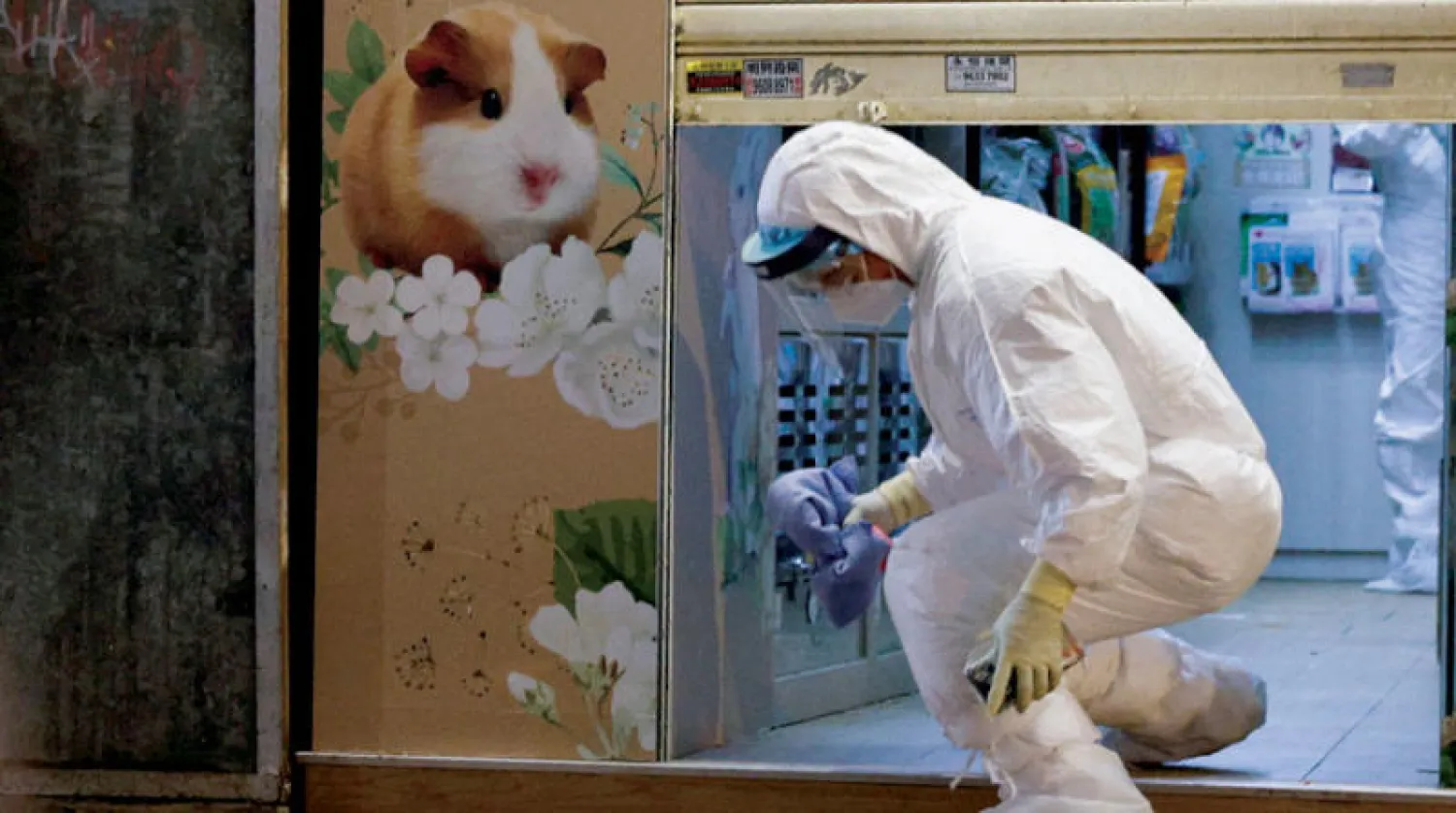 مسؤول صحي يتفقد محيط متجر حيوانات أليفة بعد رصد إصابات بـ«كورونا» في هونغ كونغ 18 يناير (رويترز)