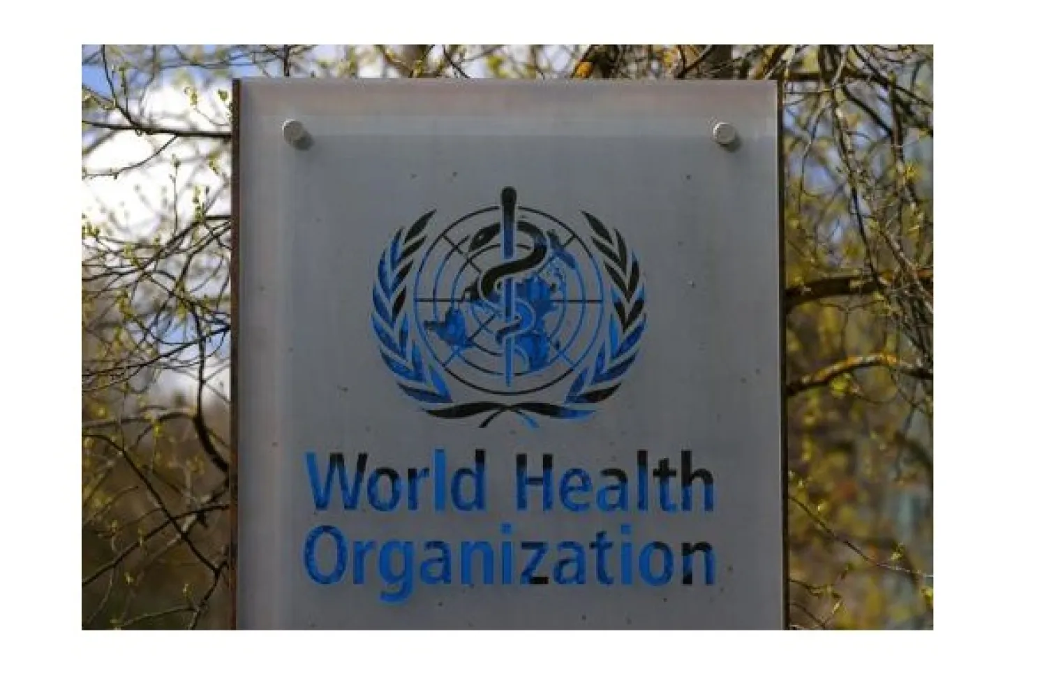 A logo is pictured outside a building of the World Health Organization (WHO) during an executive board meeting on update on the coronavirus disease (COVID-19) outbreak, in Geneva, Switzerland, April 6, 2021. (Reuters)
