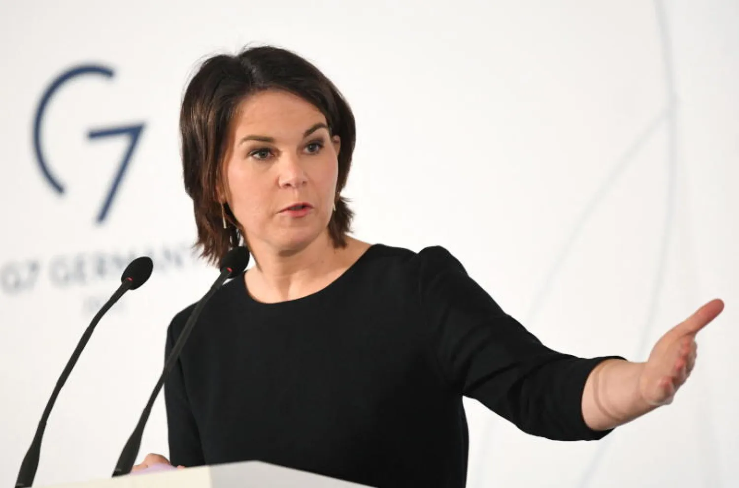 وزيرة الخارجية الألمانية أنالينا بيربوك (رويترز)