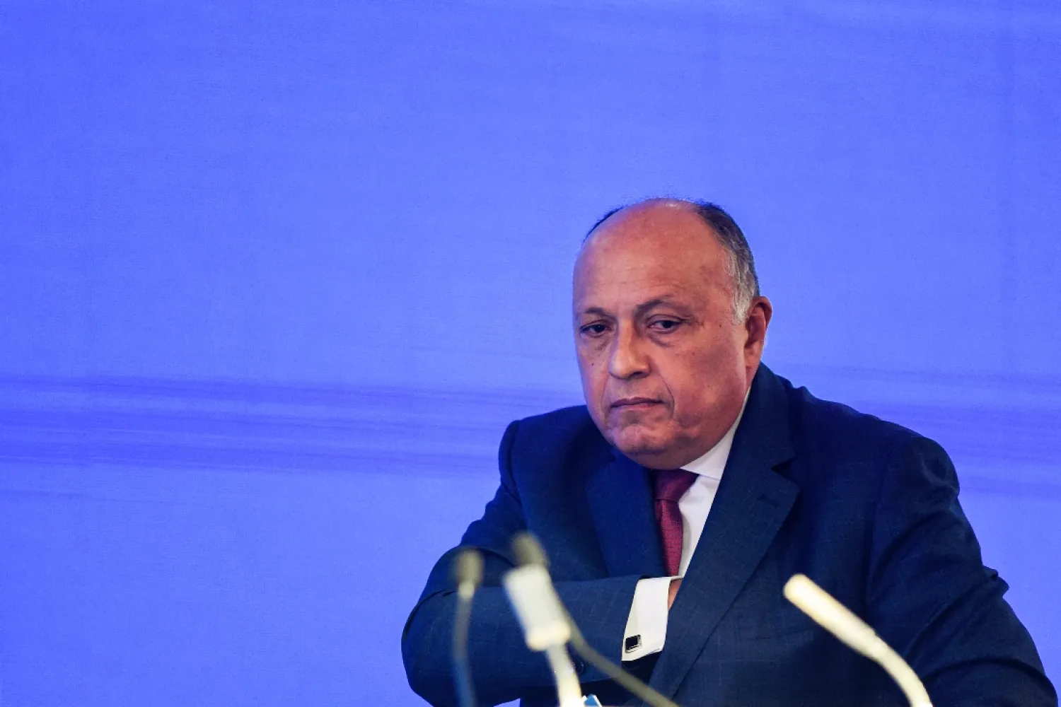 Egyptian Foreign Minister Sameh Shoukry. (AFP file photo)