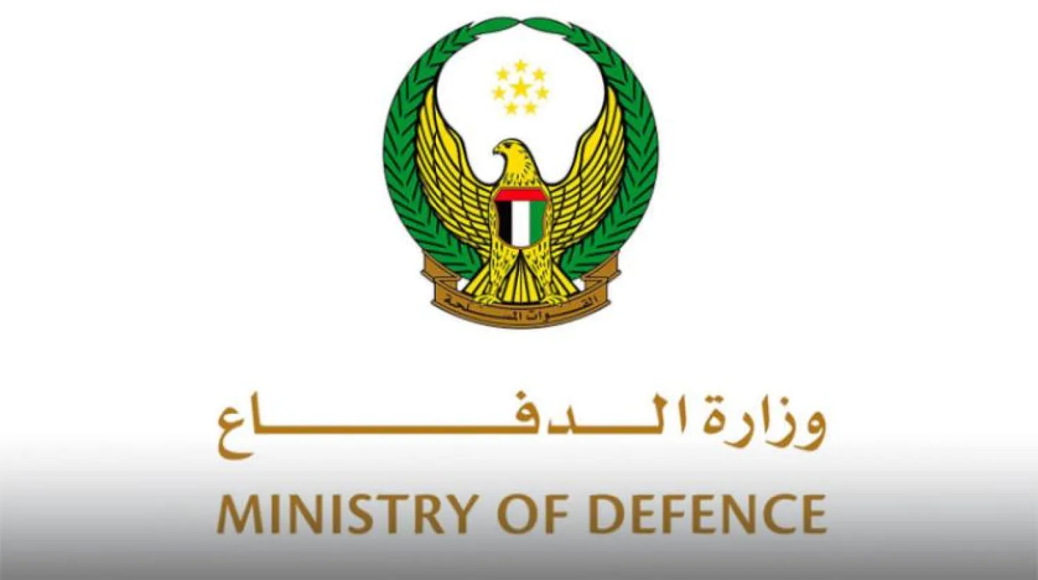 UAE Says it Intends to Buy 12 L15 Chinese Aircraft