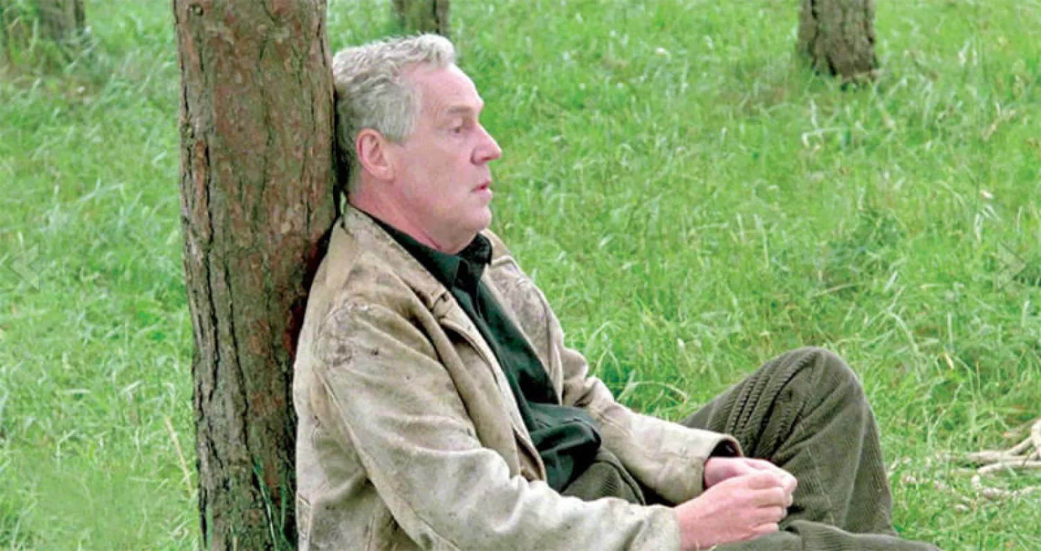 تحت الشجرة في «التضحية»