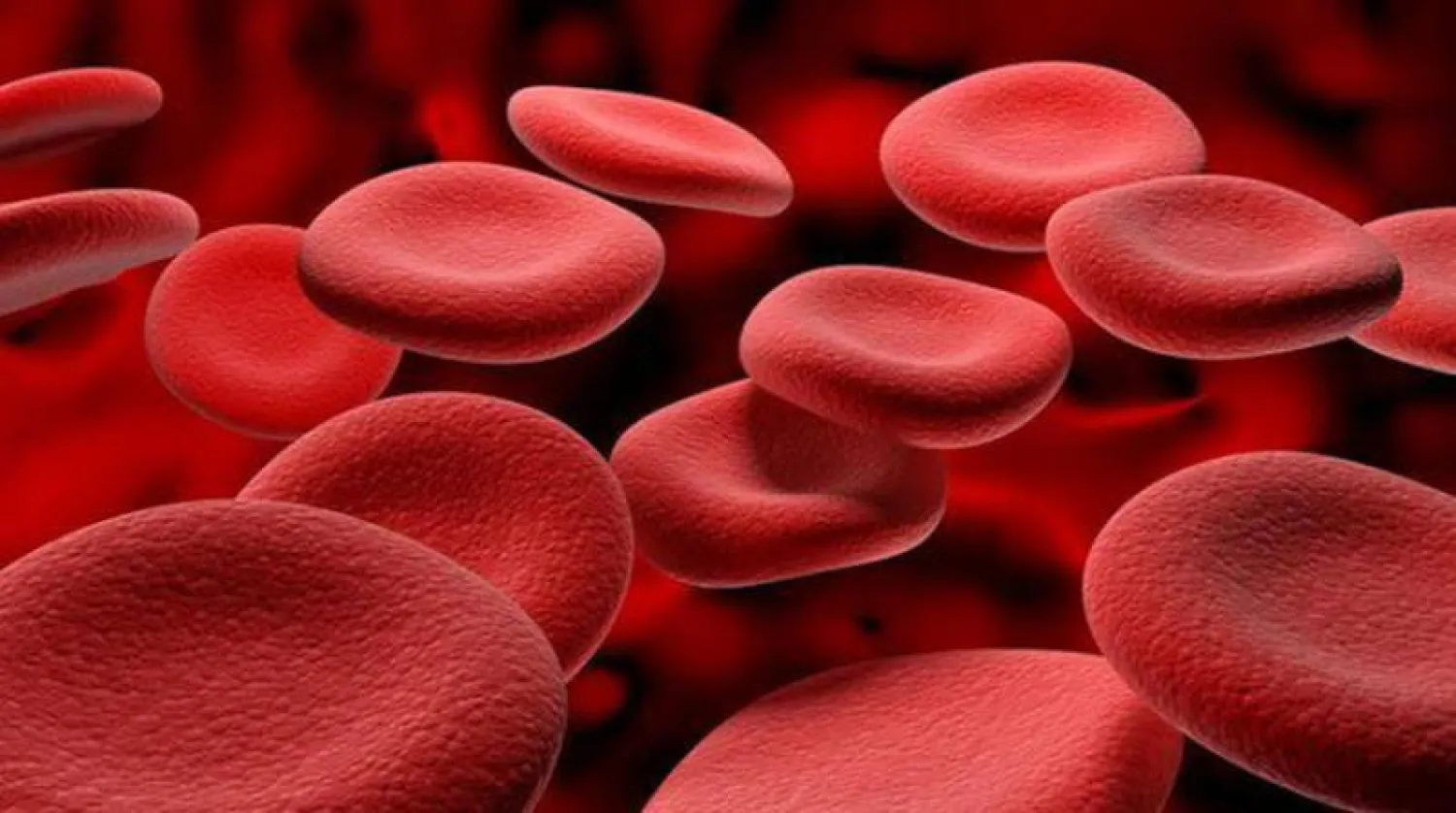 طريقة جديدة لتوصيل اللقاح عبر خلايا الدم الحمراء